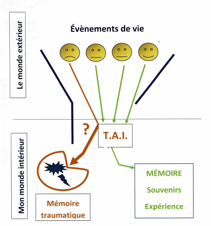 Thérapeute EMDR Nantes, Saint Herblain et Couéron - Thérapie EMDR 